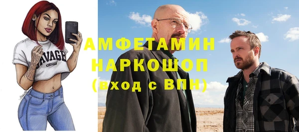 прущие грибы Гусиноозёрск