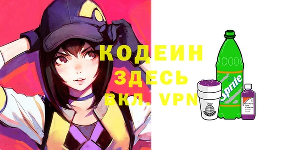 2c-b Гусев