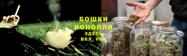 2c-b Гусев
