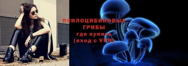 прущая мука Гусь-Хрустальный