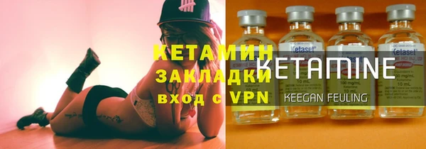 прущие грибы Гусиноозёрск