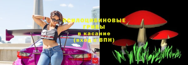 2c-b Гусев