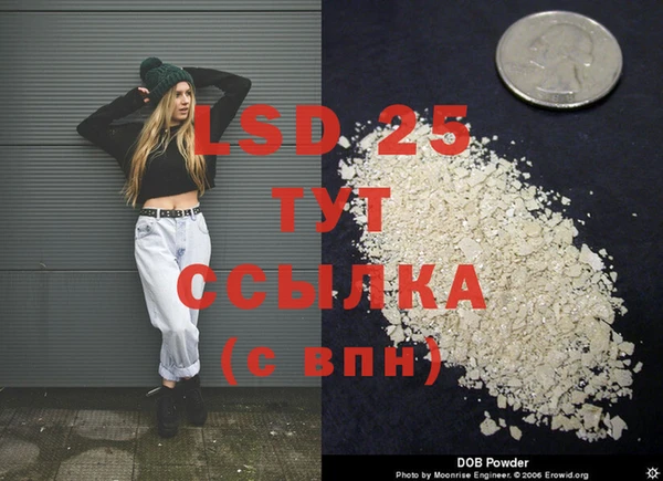 2c-b Гусев