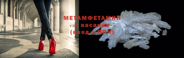 прущие грибы Гусиноозёрск