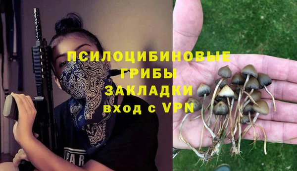 прущие грибы Гусиноозёрск