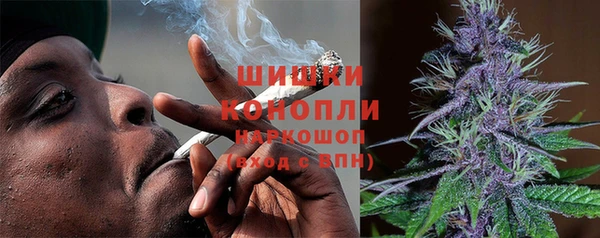 2c-b Гусев
