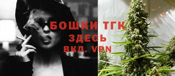 прущие грибы Гусиноозёрск