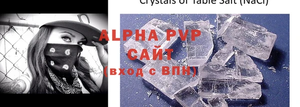 прущие грибы Гусиноозёрск