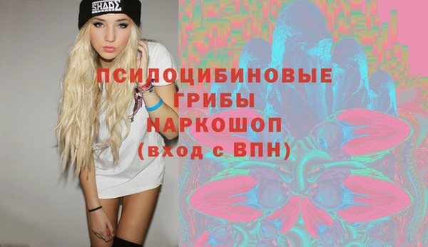 2c-b Гусев