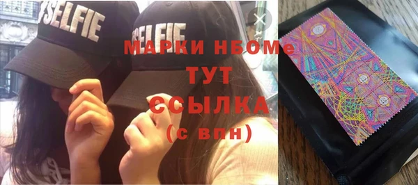прущие грибы Гусиноозёрск