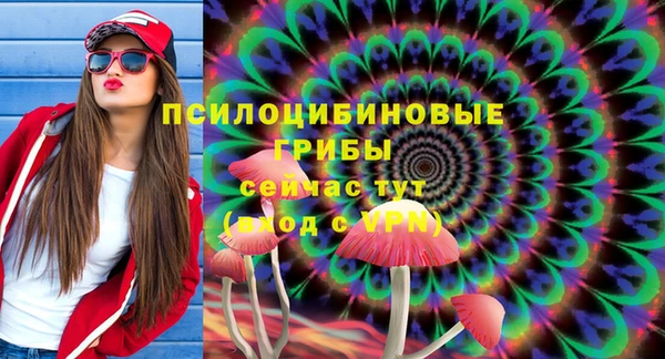 прущая мука Гусь-Хрустальный
