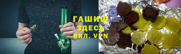 прущие грибы Гусиноозёрск