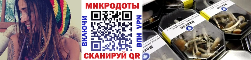 Псилоцибиновые грибы мухоморы Купить Ефремов